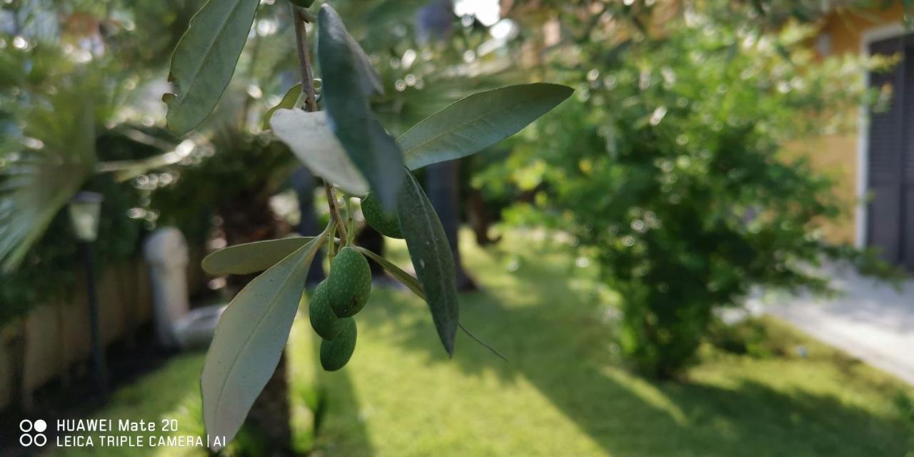 Maresole Tra L'Etna E Taormina Apartment มาสคาลิ ภายนอก รูปภาพ