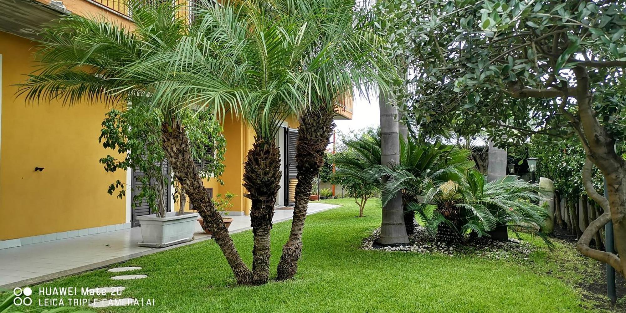 Maresole Tra L'Etna E Taormina Apartment มาสคาลิ ภายนอก รูปภาพ