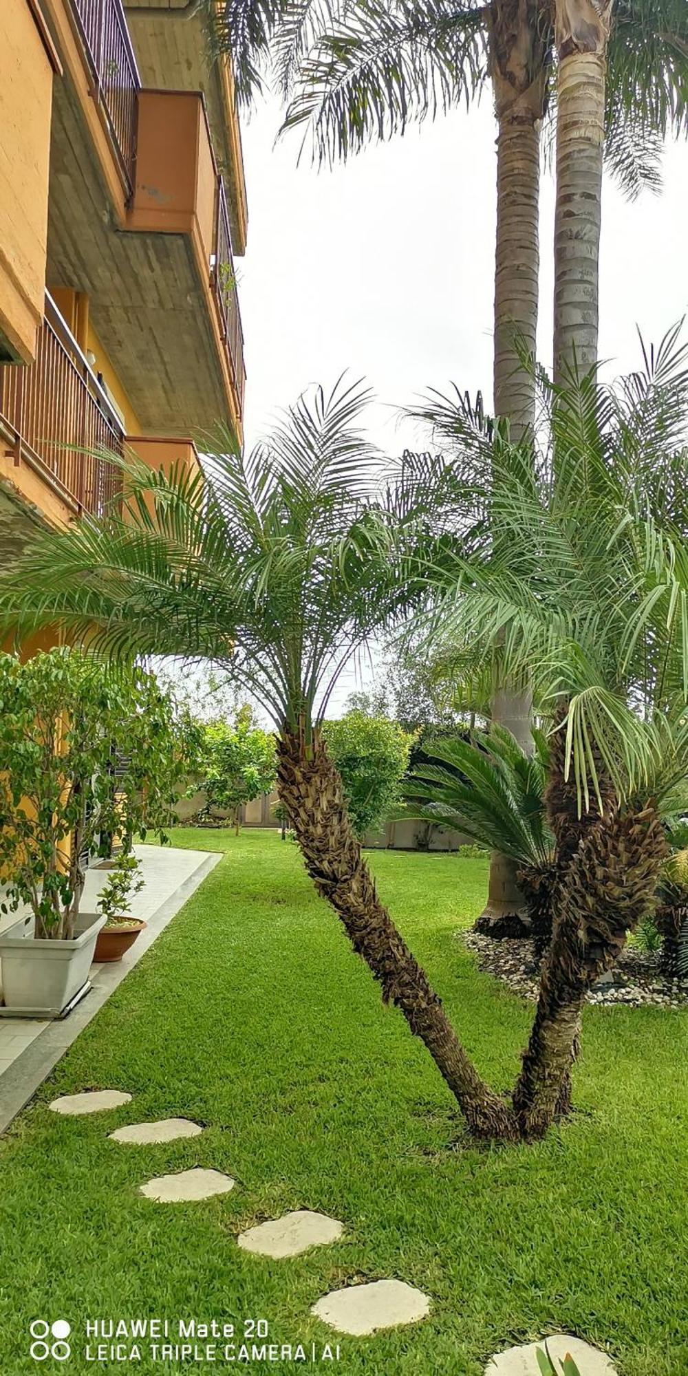 Maresole Tra L'Etna E Taormina Apartment มาสคาลิ ภายนอก รูปภาพ