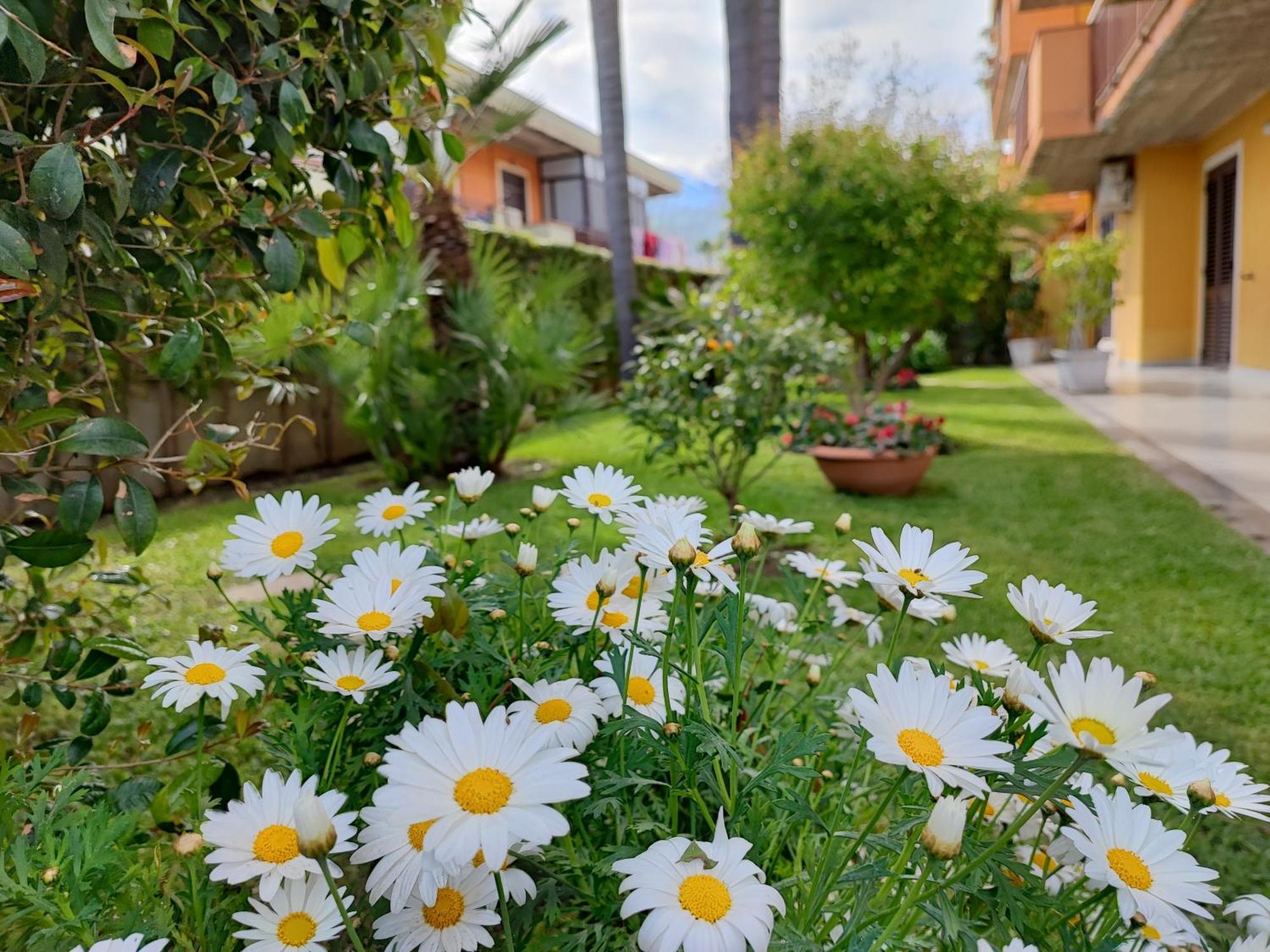 Maresole Tra L'Etna E Taormina Apartment มาสคาลิ ภายนอก รูปภาพ