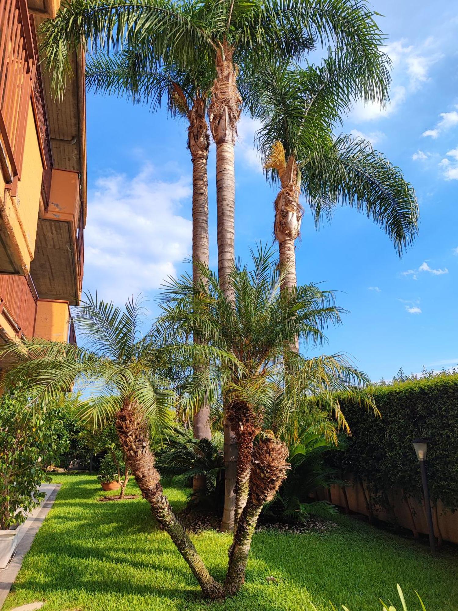Maresole Tra L'Etna E Taormina Apartment มาสคาลิ ภายนอก รูปภาพ